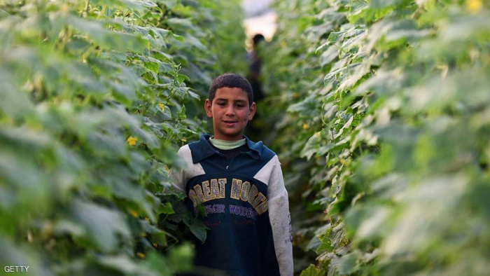 السنة القبطية.. حكاية تقويم رسم تاريخ المصريين