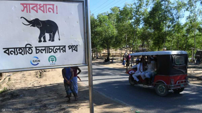 فيلة تقتل روهينغا أثناء نومهم بمركز إيواء في بنغلادش