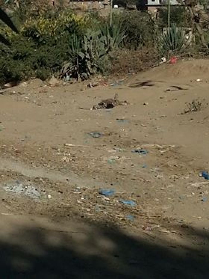 اشتباكات لليوم الرابع على التوالي في قرية الحيمة بين محافظتي إب وتعز والمليشيات تقصف القرية بالدبابات