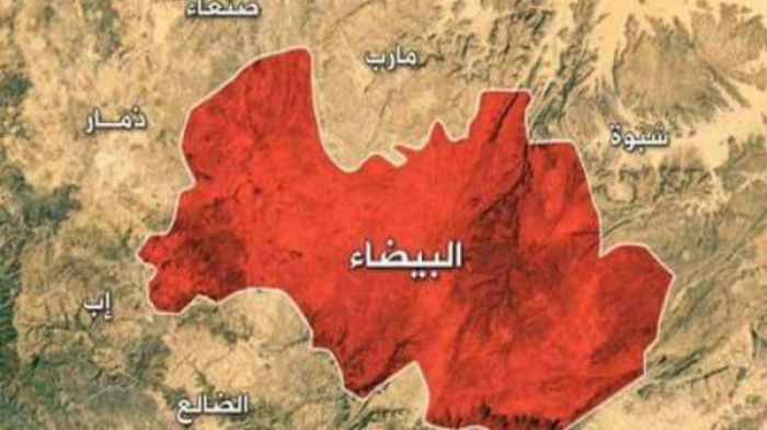 لماذا تحرير البيضاء ضرورة استراتيجية للشرعية باليمن؟