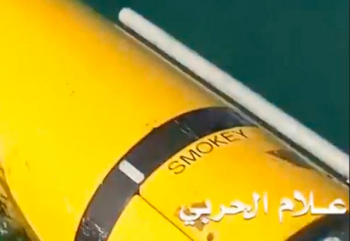 صيد حوثي غريب يثر الجدل بالصحافة الدولية .. صورة