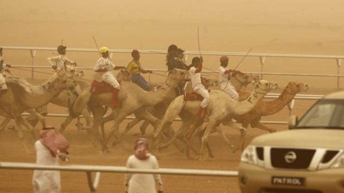 ماذا قال الملك سلمان وولي عهده لأصغر معلق على سباقات الهجن؟