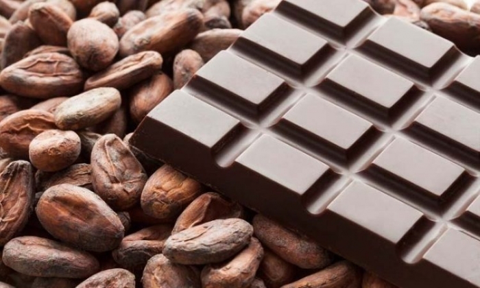 تعرف على خصائص الشوكولاتة وتأثيرها على صحتك.. معلومات مثيرة