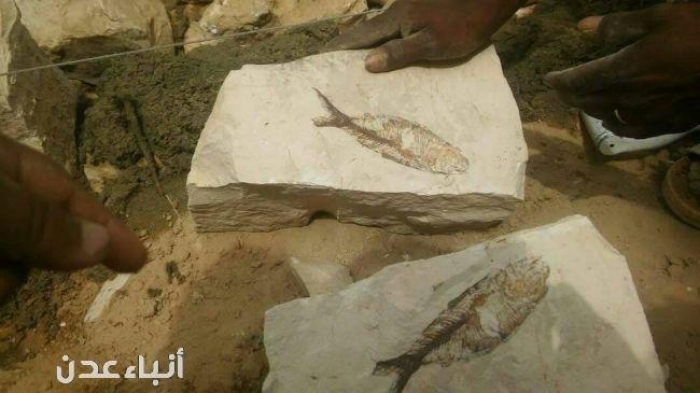 عاجل : اكتشاف أثري مذهل في وادي حضرموت(صورة)