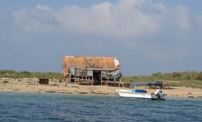 حقيقة سيطرة القوات السعودية على جزيرتي «بكلان» و«الدويمة» واستحداث معسكرات فيهما