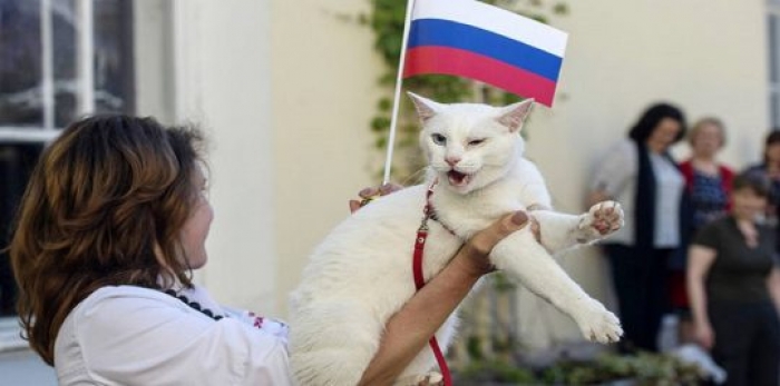 القط أخيل يتوقع فوز السعودية على روسيا في افتتاحية كأس العالم (فيديو)