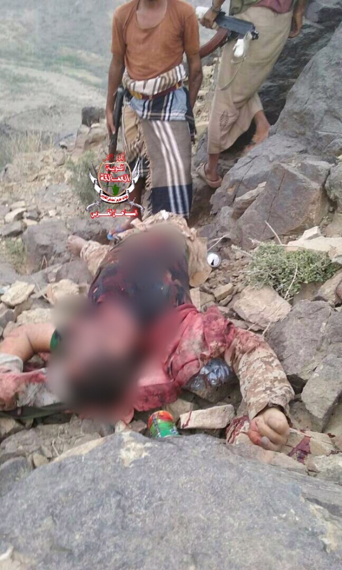 ألوية العمالقة تقتل القيادي الحوثي ابو طه وعدد من من مرافقيه في جبهة الكدحة الوازعية