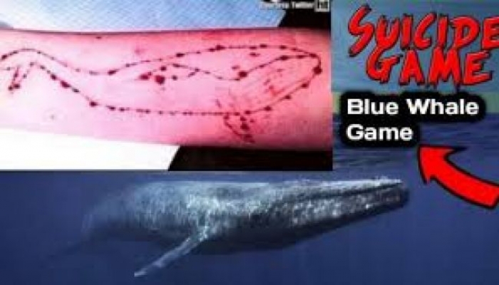 صنعاء تسجل أول حالة انتحار بـ“الحوت الأزرق”
