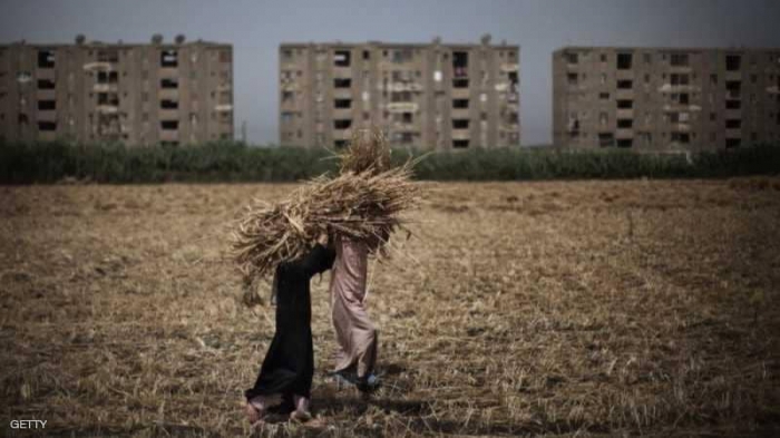 مصر.. لغز يحيط بأسرة "متعفنة" بأكملها