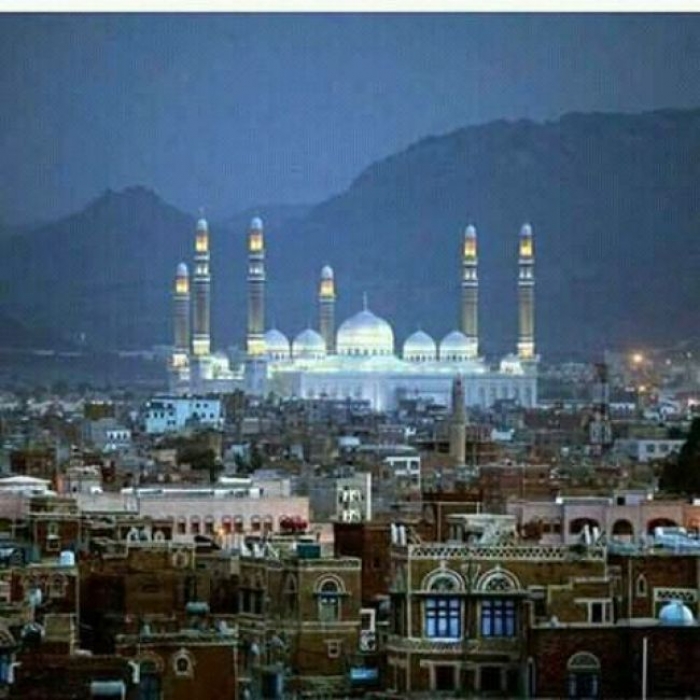 فرنسا تجري محادثات مع الحوثيين لهذا السبب