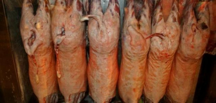 انخفاض هائل في سعر اللحوم في عدن.. والمفاجأة صادمة: لحوم أغنام ميتة!