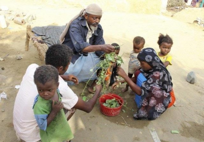 في عهد الحوثي وبسببه : يمنيون يأكلون اوراق الشجر (فيديو)