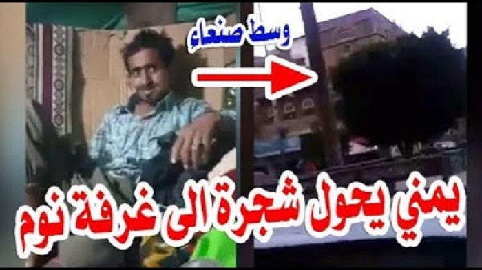 شاهد بالفيديو .. شاب يمني يحول شجرة في الشارع الى غرفة نوم