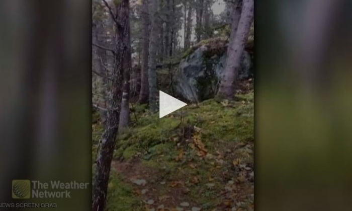 بالفيديو : ملايين المشاهدات لظاهرة "عجيبة" في غابة كندية