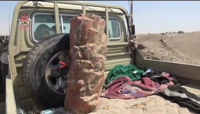 شاهد: آخر إبداعات الموت الحوثية.. ألغام على شكل جذوع نخيل