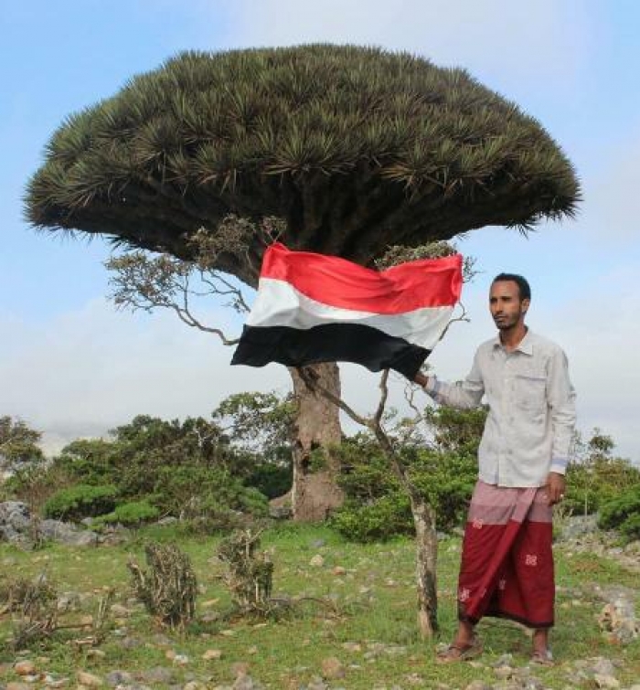 مسؤول إماراتي يثير غضب اليمنيين شاهد ماذا قال عن جزيرة سقطرى! (فيديو)