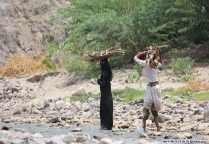 "الاحتطاب" يودي بحياة النساء اليمنيات في الجبال الشاهقة
